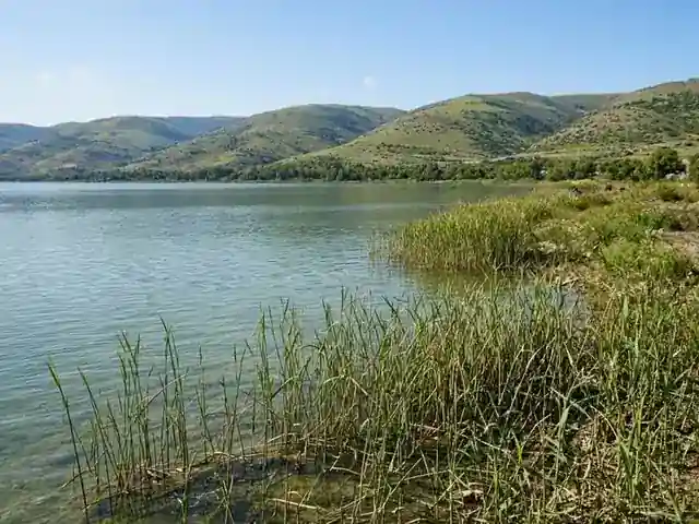 Heerka Biyaha Lake Kinneret